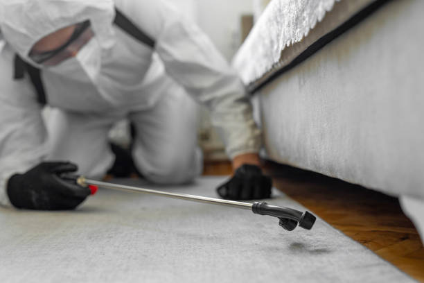 Professional Termite Control technician working in Ossun, LA