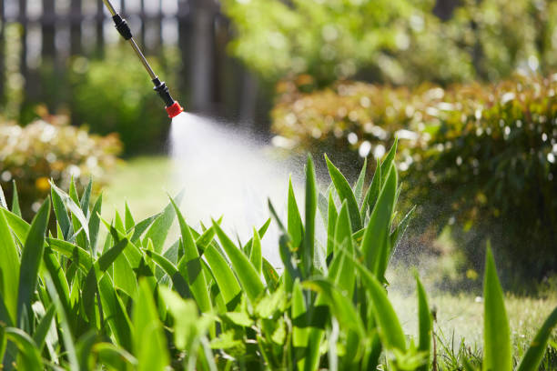 24/7 Emergency Termite Control experts in Ossun, LA