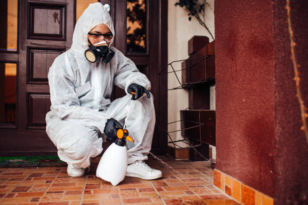 Reliable Termite Control contractor in Ossun, LA by Nex Pest Control